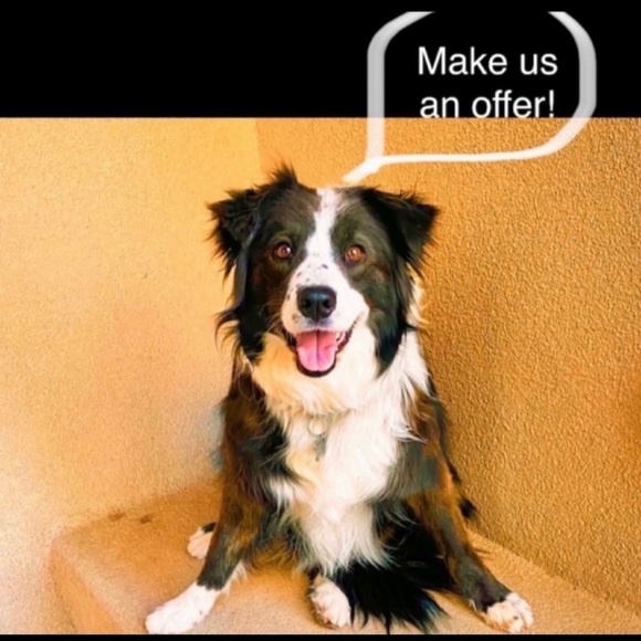 Set of 3 votives - Picture 7 of 7